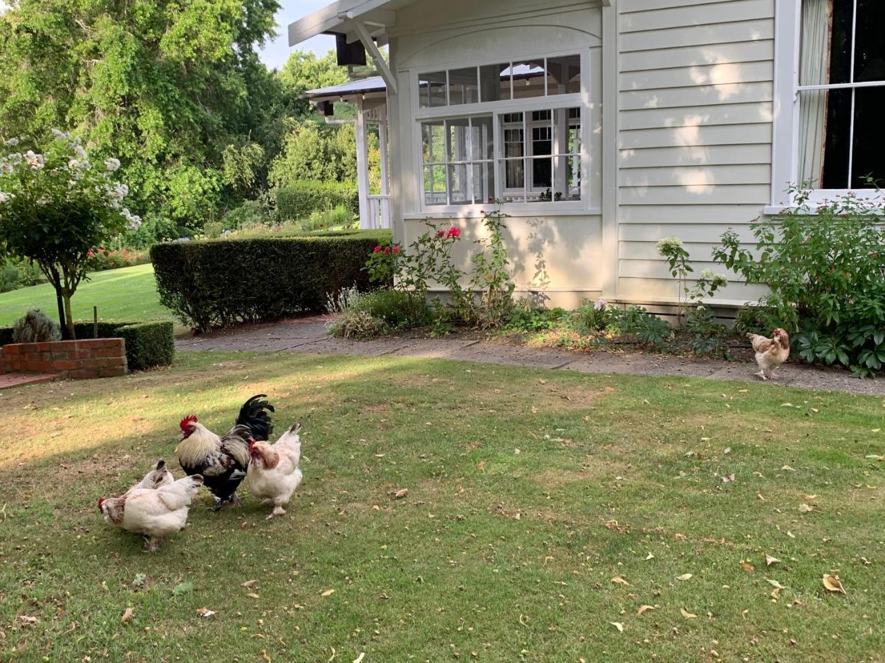 Wallingford Homestead 외부 사진